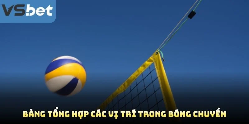 Bảng Tổng Hợp Các Vị Trí Trong Bóng Chuyền Bảng Tổng Hợp Các Vị Trí Trong Bóng Chuyền