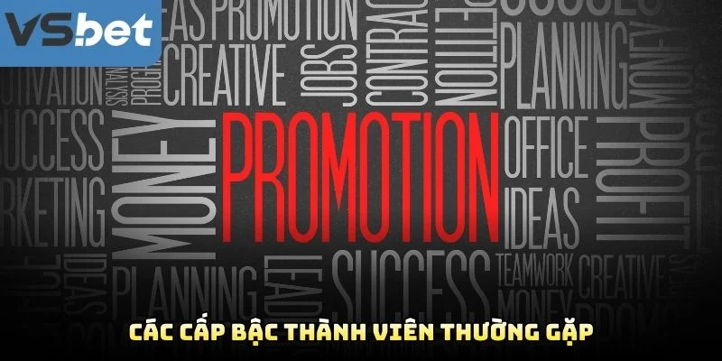 Các Cấp Bậc Thành Viên Thường Gặp Các Cấp Bậc Thành Viên Thường Gặp