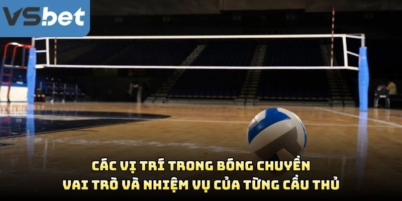 Các Vị Trí Trong Bóng Chuyền – Vai Trò Và Nhiệm Vụ Của Từng Cầu Thủ