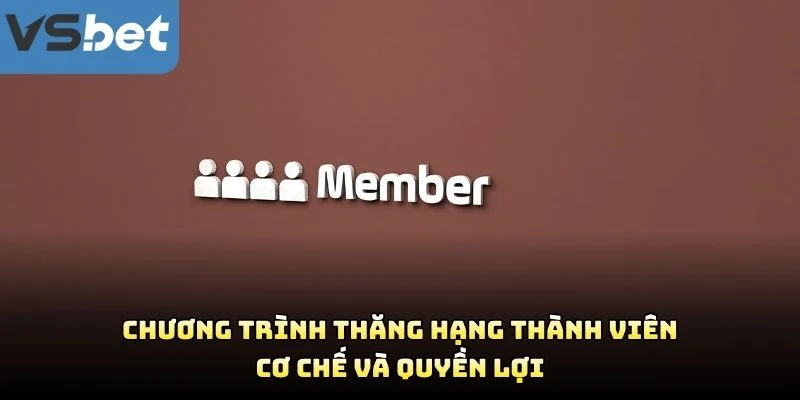 Chương Trình Thăng Hạng Thành Viên – Cơ Chế Và Quyền Lợi