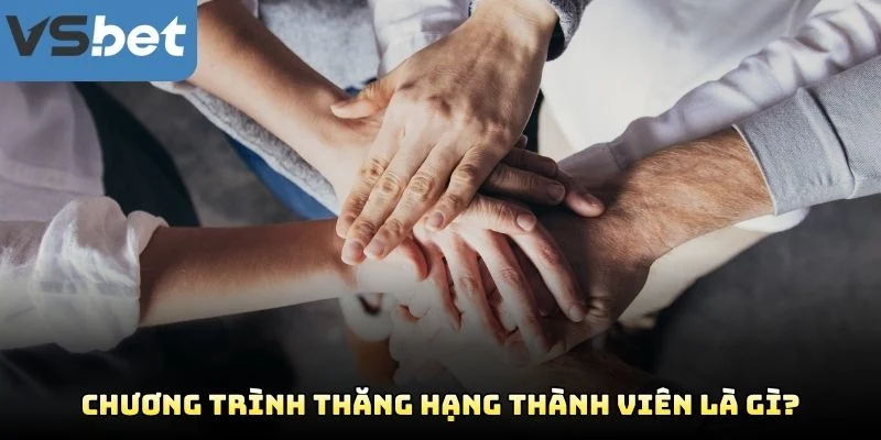 Chương Trình Thăng Hạng Thành Viên Là Gì? Chương Trình Thăng Hạng Thành Viên Là Gì?