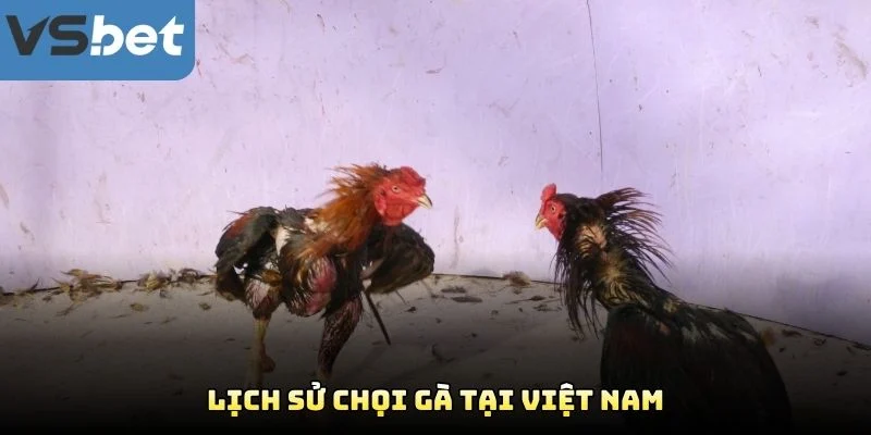 Lịch Sử Chọi Gà Tại Việt Nam Lịch Sử Chọi Gà Tại Việt Nam