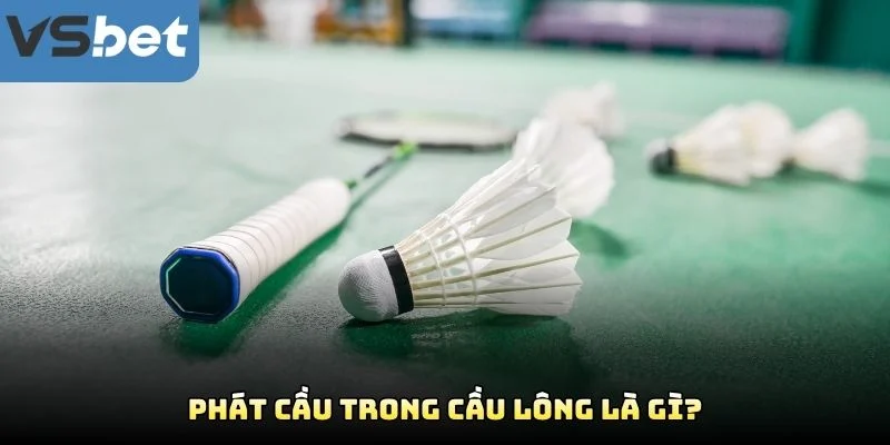 Phát Cầu Trong Cầu Lông Là Gì? Phát Cầu Trong Cầu Lông Là Gì?