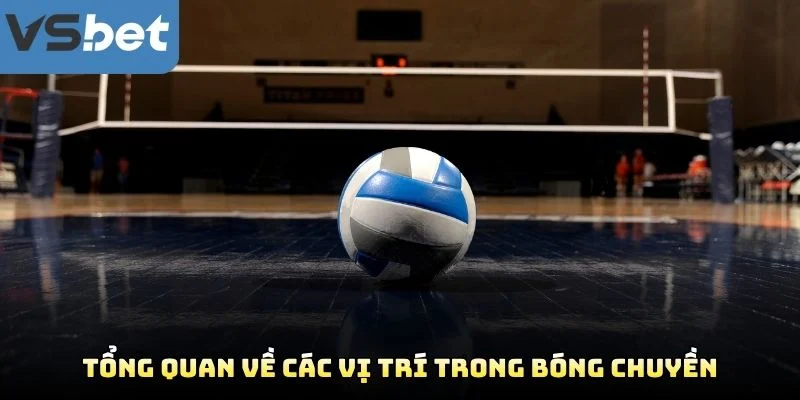 Tổng Quan Về Các Vị Trí Trong Bóng Chuyền Tổng Quan Về Các Vị Trí Trong Bóng Chuyền