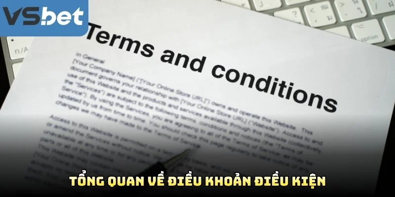 Tổng Quan Về Điều Khoản Điều Kiện